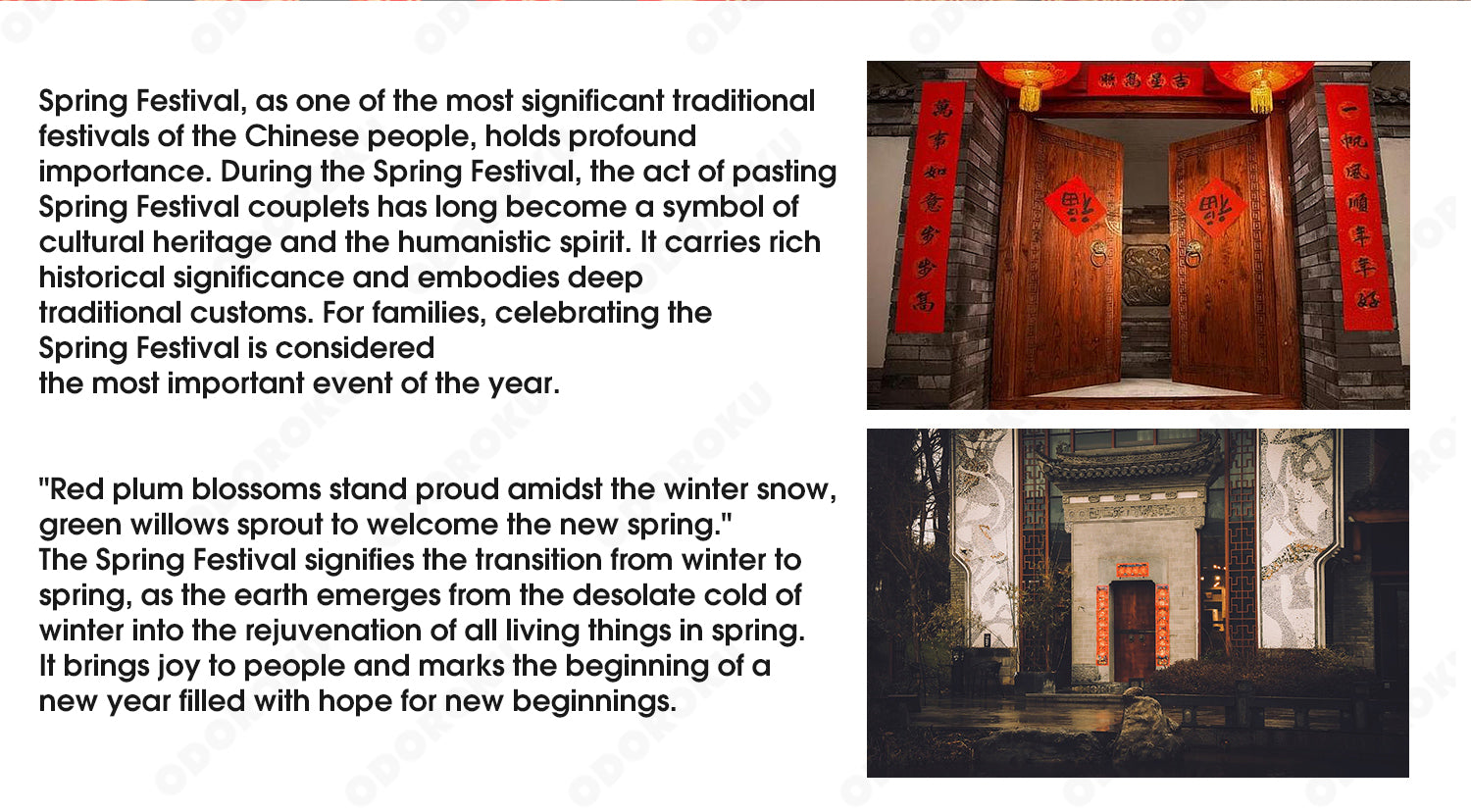 ODOROKU Chinese New Year Wall Decor Couplets CNY Door Sticker Spring Festival Couplet Set Decoration Wall Mounted Feng Shui 118cm