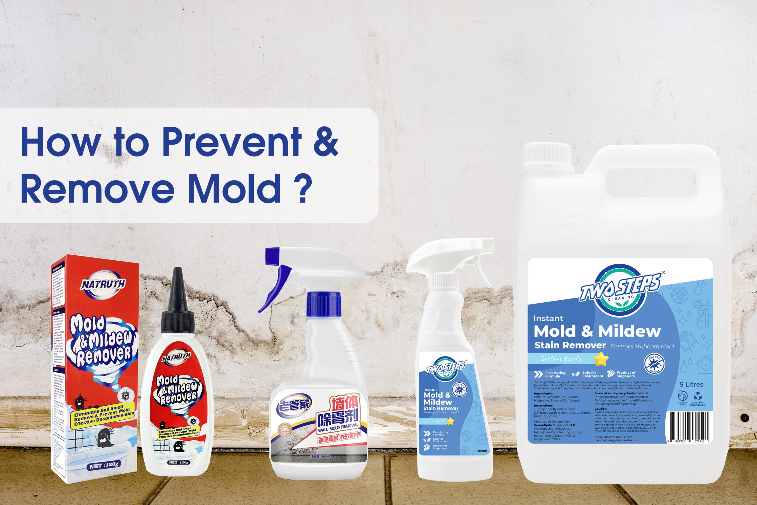 How to prevent and remove mold? - ODOROKU