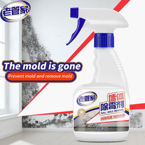 ODOROKU Wall Mold Remover Spray 500ml Mildew Removal Automatically Decompose and Remove Mold - ODOROKU