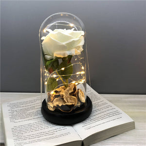 ODOROKU Silk Rose and Led Light with Fallen Petals in Glass Dome on Wooden Base Artificial Rose Rose Kit Rose Glass Dome Valentine's Day Anniversary Birthday Mothers Day Gift - ODOROKU