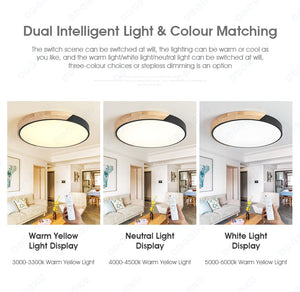 ODOROKU Circle Modern LED Ceiling Light Minimalist Wood Style Flush Mount Ceiling Light Fixture Circle Lighting Lamp with Acrylic Lampshade for Bedroom Living Room Dining Room Laundry Black White - ODOROKU