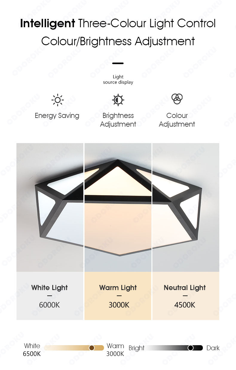 ODOROKU Hexagon Modern LED Ceiling Light Flush Mount Ceiling Light Fixture Hexagon Lighting Lamp with Acrylic Lampshade for Bedroom Living Room Dining Room Laundry Black White - ODOROKU